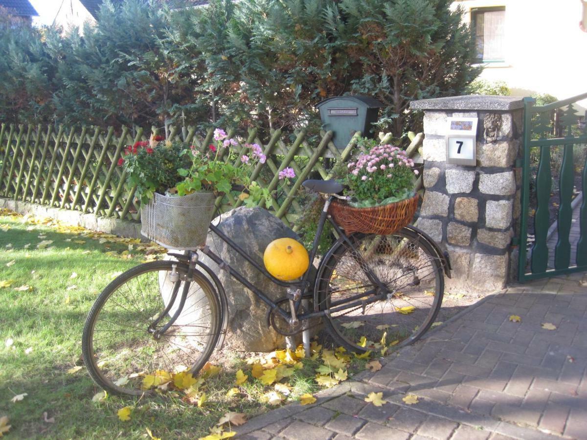 Pension Zum Weissen Hirsch Reitwein Екстериор снимка