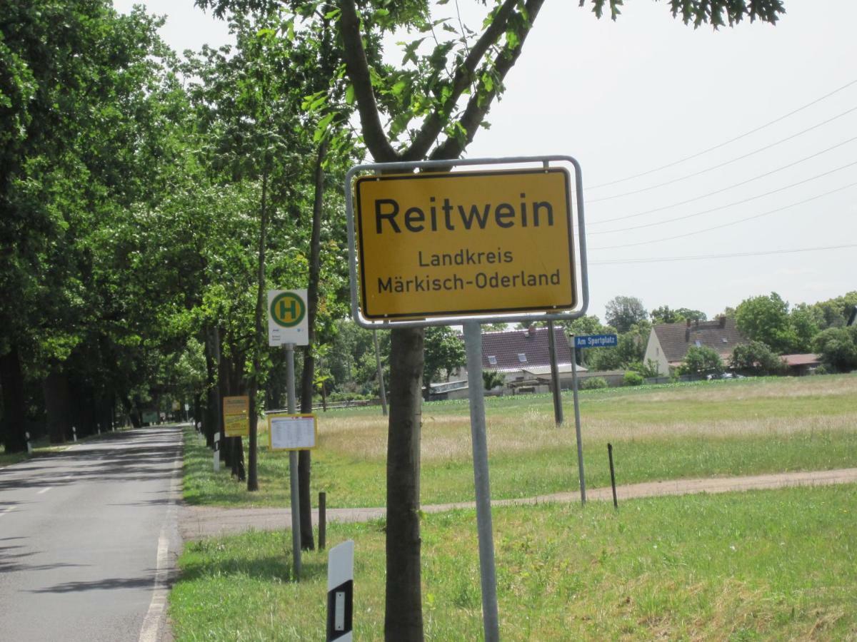 Pension Zum Weissen Hirsch Reitwein Екстериор снимка