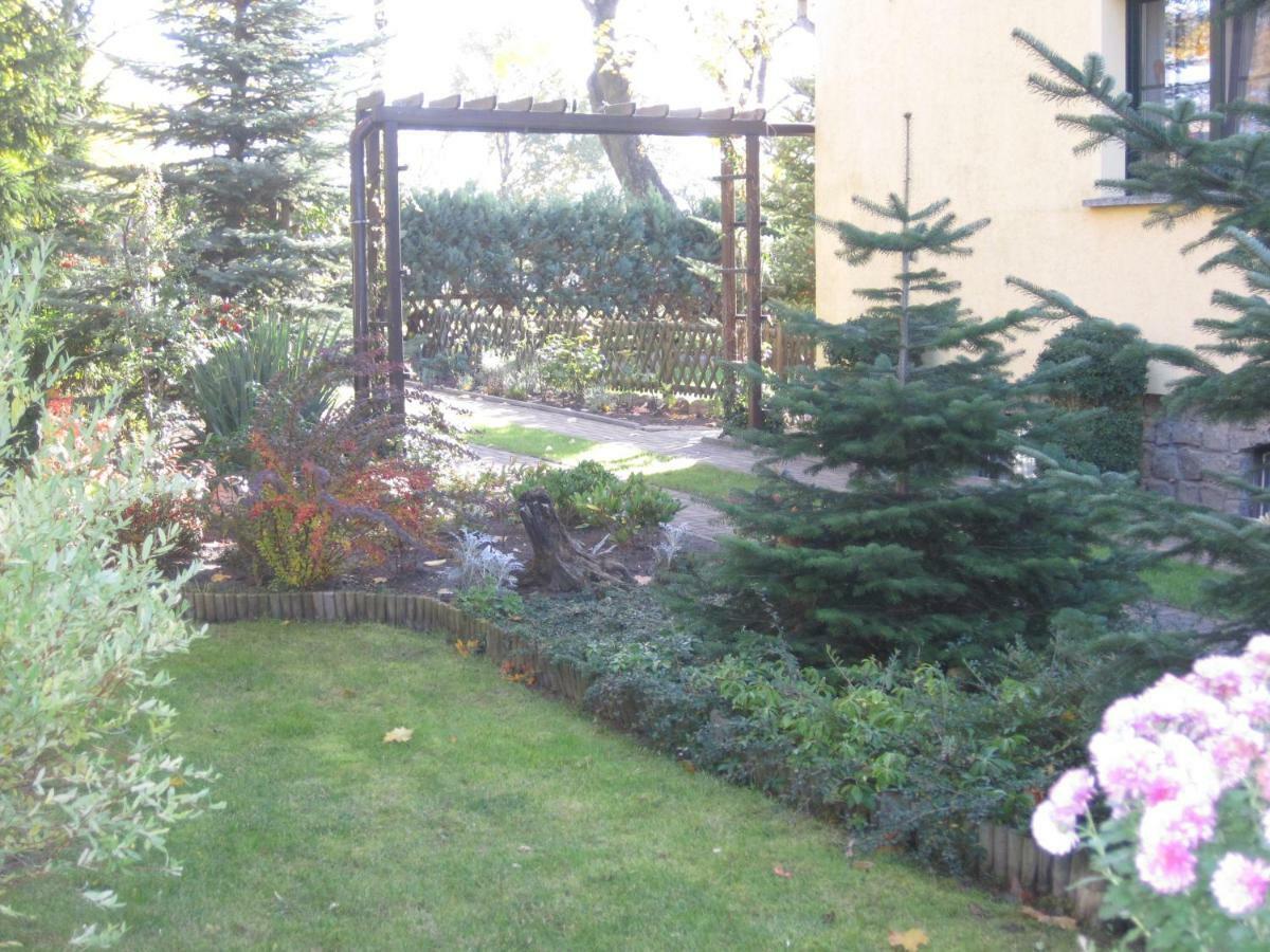 Pension Zum Weissen Hirsch Reitwein Екстериор снимка