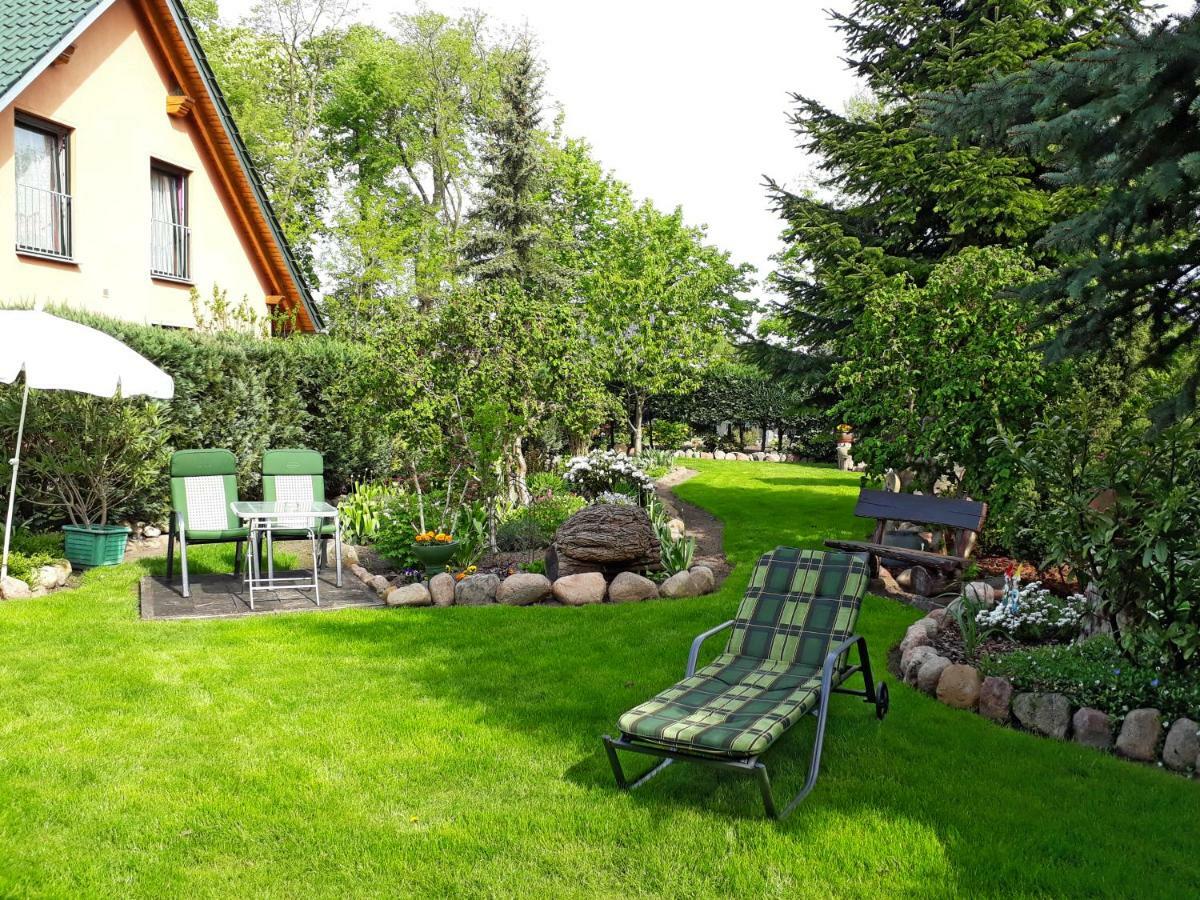 Pension Zum Weissen Hirsch Reitwein Екстериор снимка