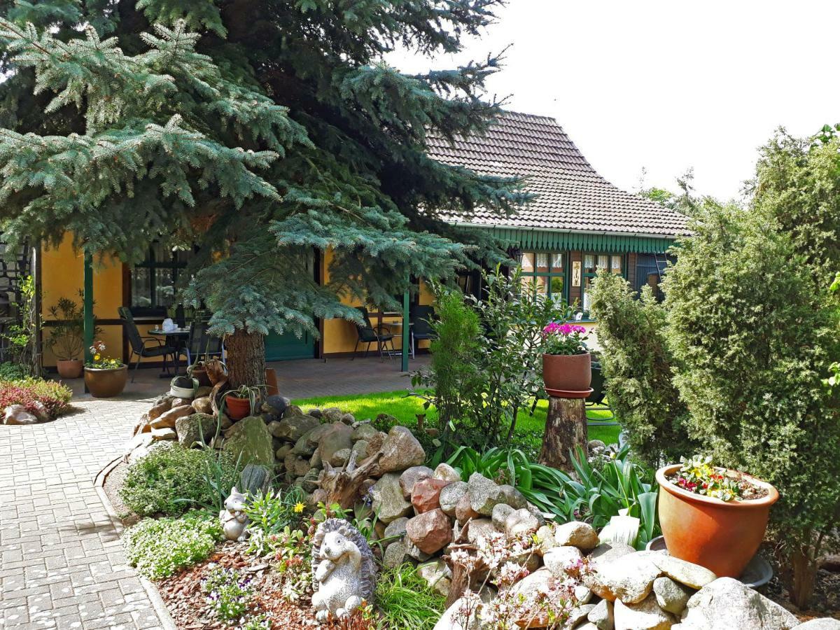 Pension Zum Weissen Hirsch Reitwein Екстериор снимка