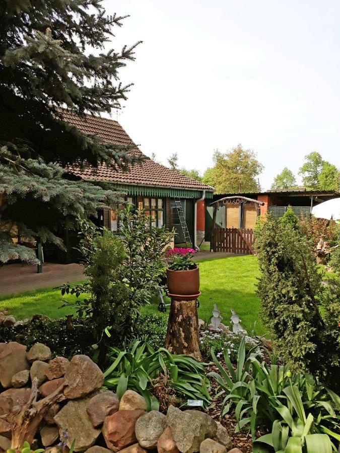 Pension Zum Weissen Hirsch Reitwein Екстериор снимка